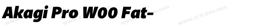 Akagi Pro W00 Fat字体转换